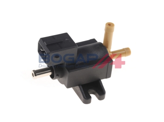 Bogap V6313102