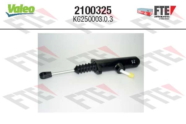 FTE 2100325