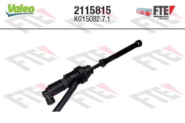 FTE 2115815