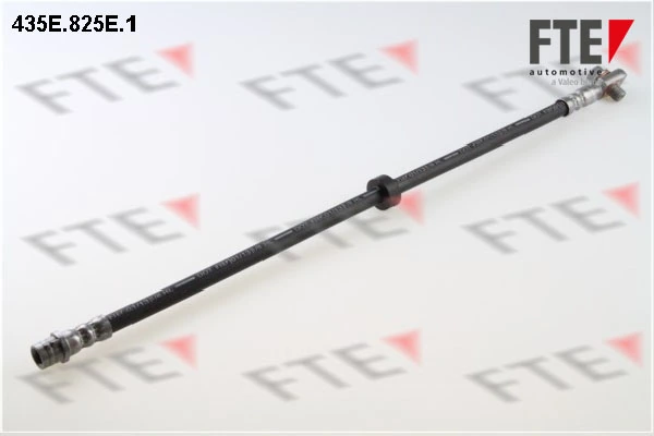 FTE 9240011