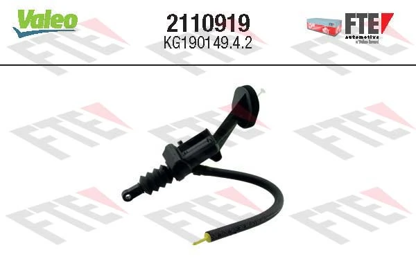 FTE 2110919