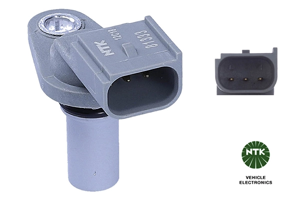 NTK 81333