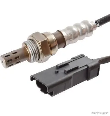 HERT+BUSS J1462046