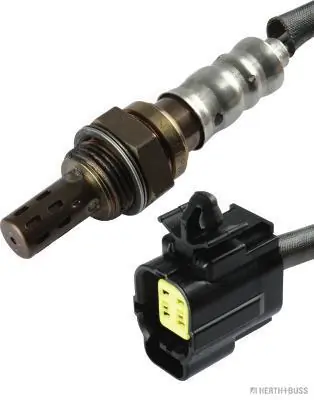 HERT+BUSS J1473006