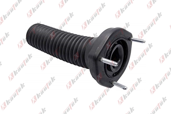 RAISO RC48750