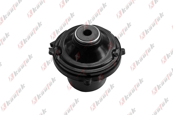 RAISO RC01045