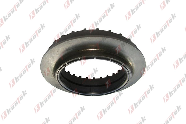 RAISO RC02418