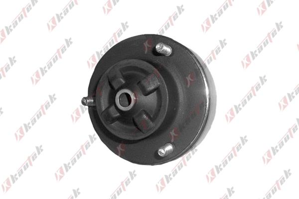 RAISO RC02381