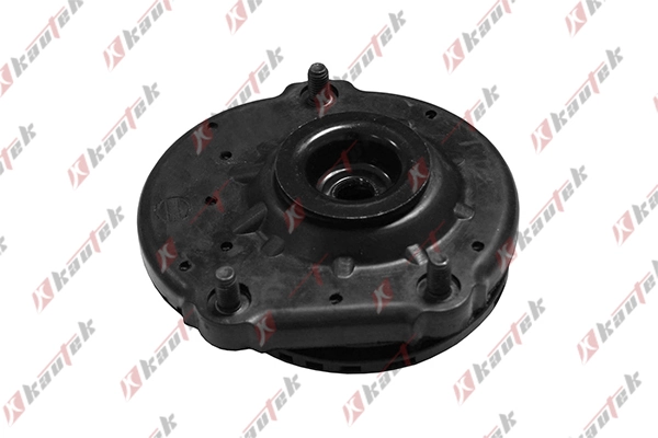 RAISO RC02529