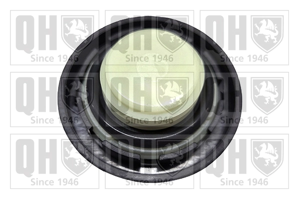 QUINTON HAZELL FC583