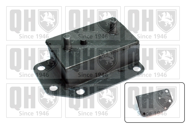 QUINTON HAZELL EM449