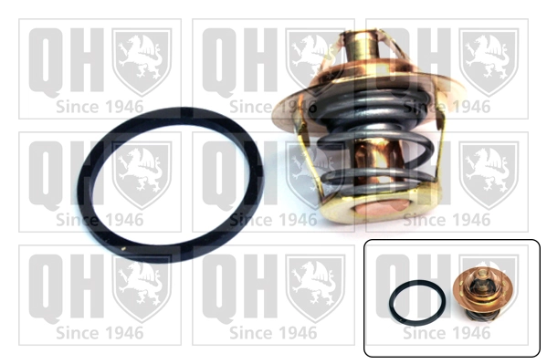 QUINTON HAZELL QTH229K