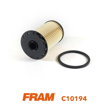 FRAM C10194