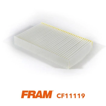 FRAM CF11119