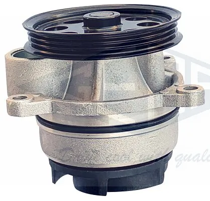 GEBA 10725