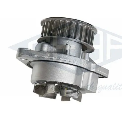 GEBA 10335
