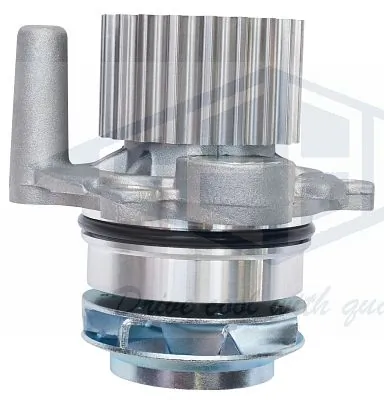 GEBA 10565