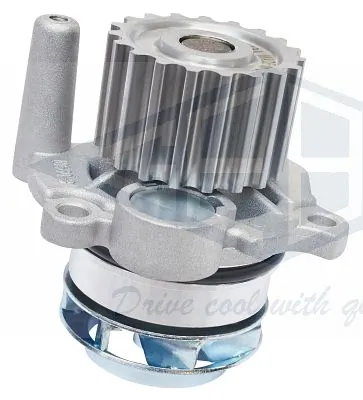 GEBA 10560