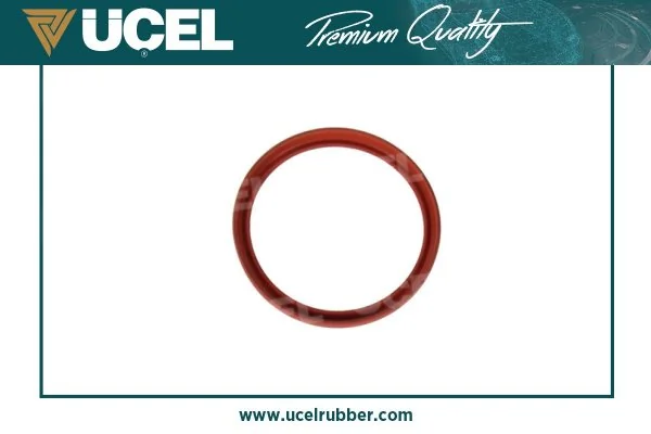 UCEL 15132
