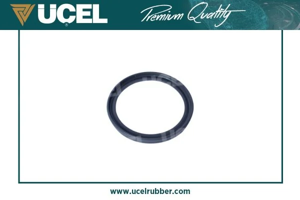 UCEL 15134