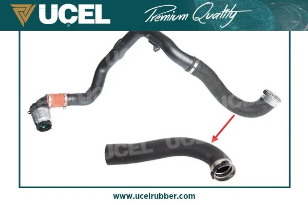 UCEL 15196