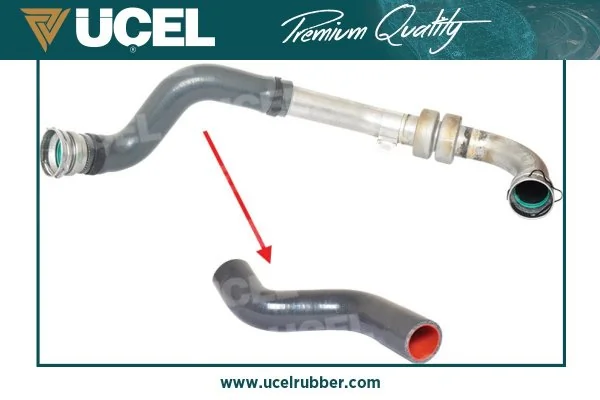 UCEL 15907