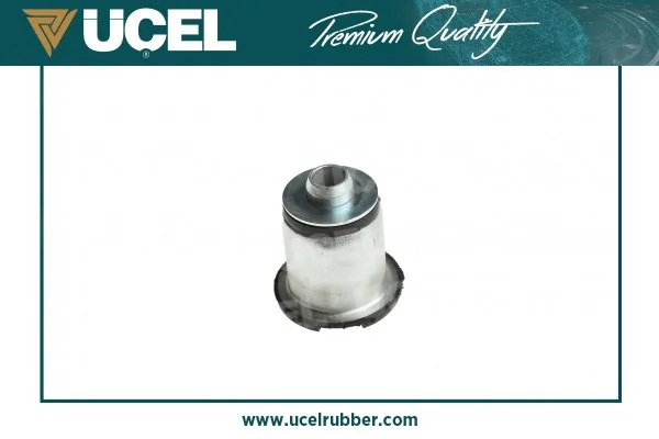 UCEL 10973
