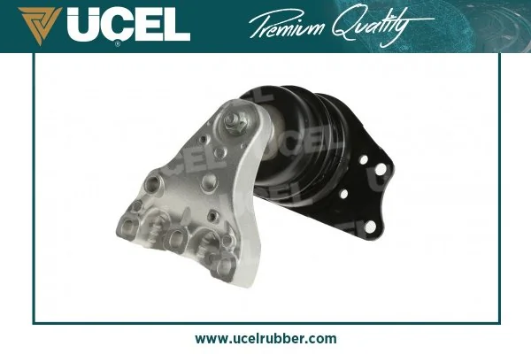 UCEL 61307