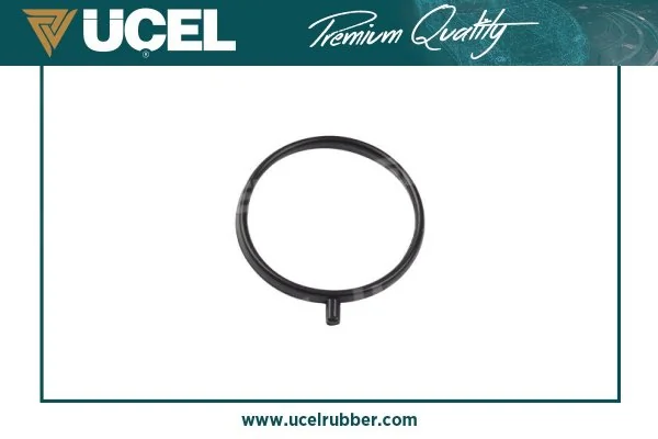 UCEL 16054