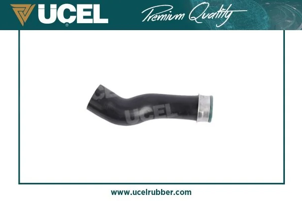 UCEL 65371