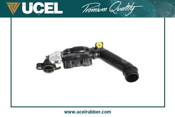 UCEL 52536