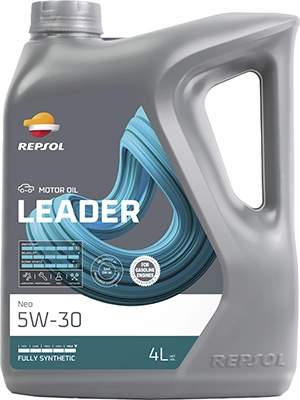 REPSOL RPP0100IGB