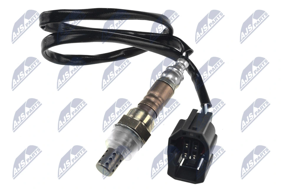 NTY ESLMZ012