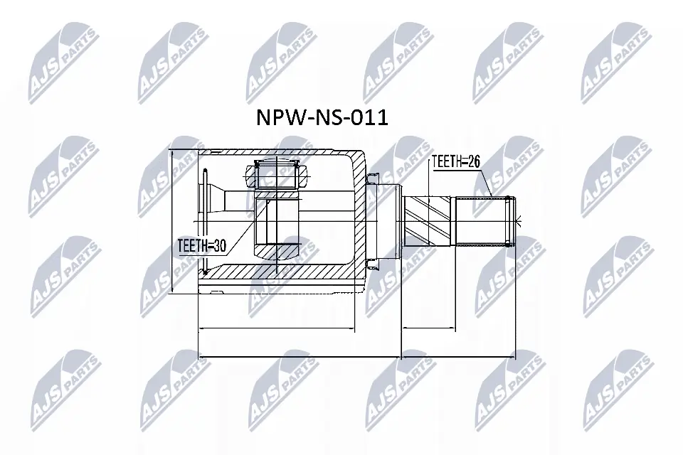 NTY NPWNS011