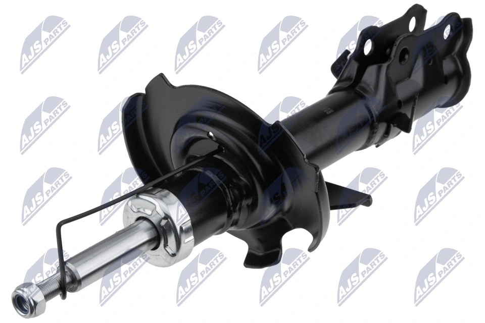 RAISO RS316895