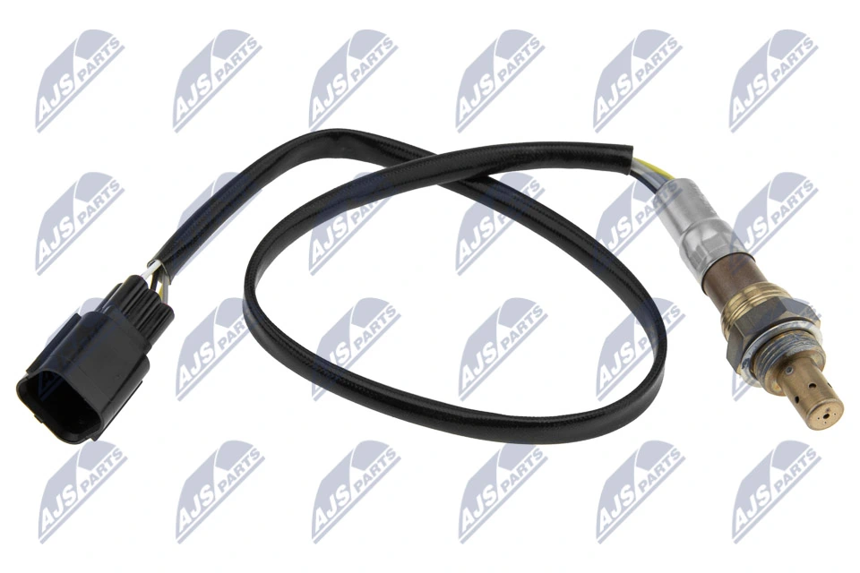 NTY ESLMZ019