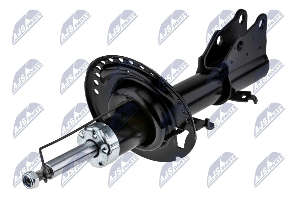 RAISO RS315298
