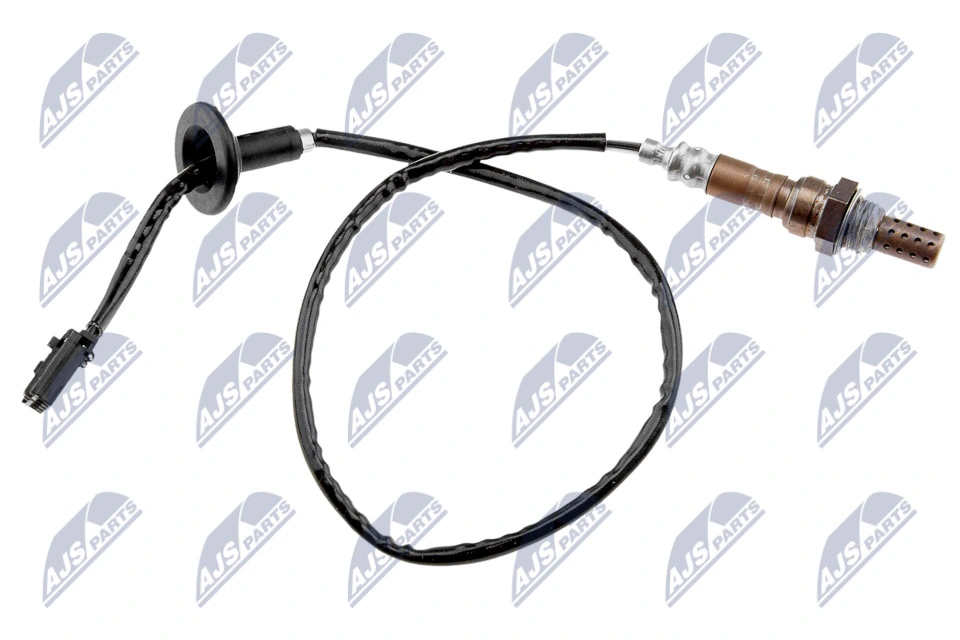 NTY ESLMS002