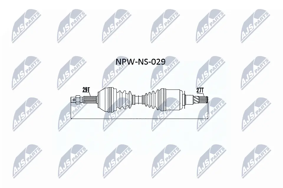 NTY NPWNS029