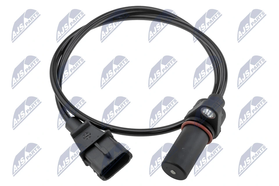 NTY ECPHY015