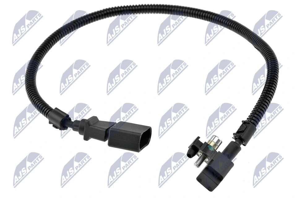NTY ECPAU031