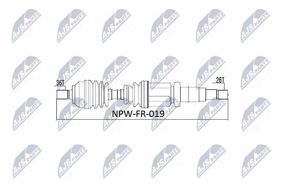NTY NPWFR019