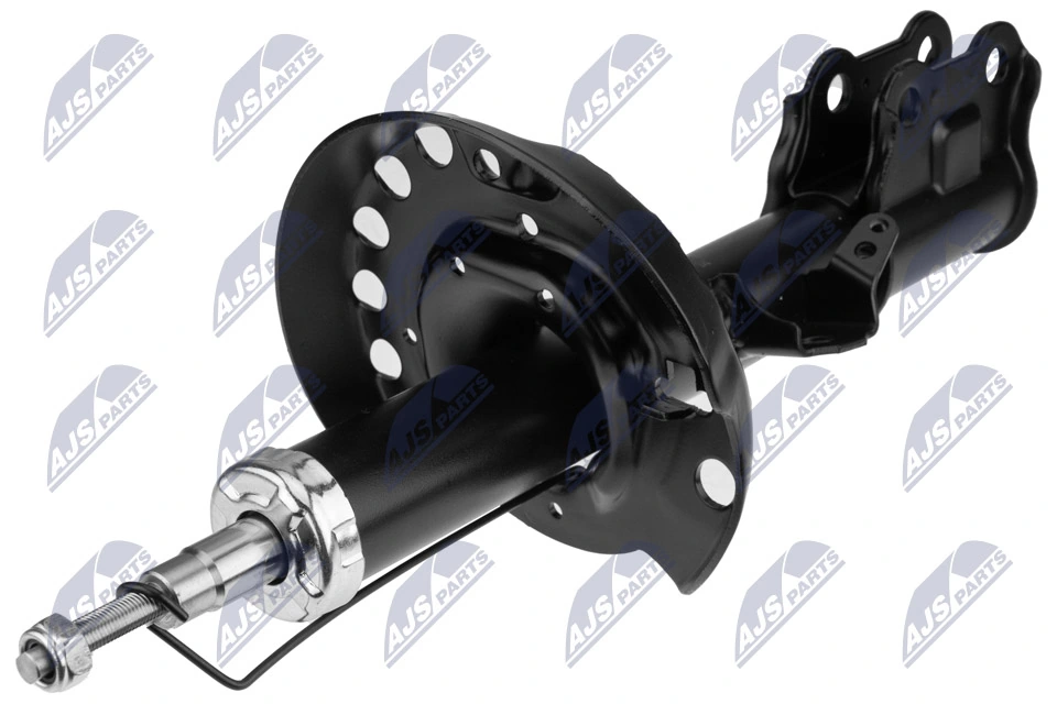 RAISO RS314695