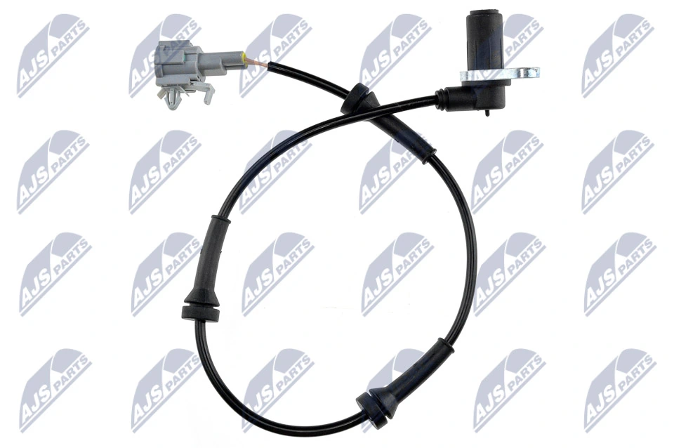 NTY HCANS010