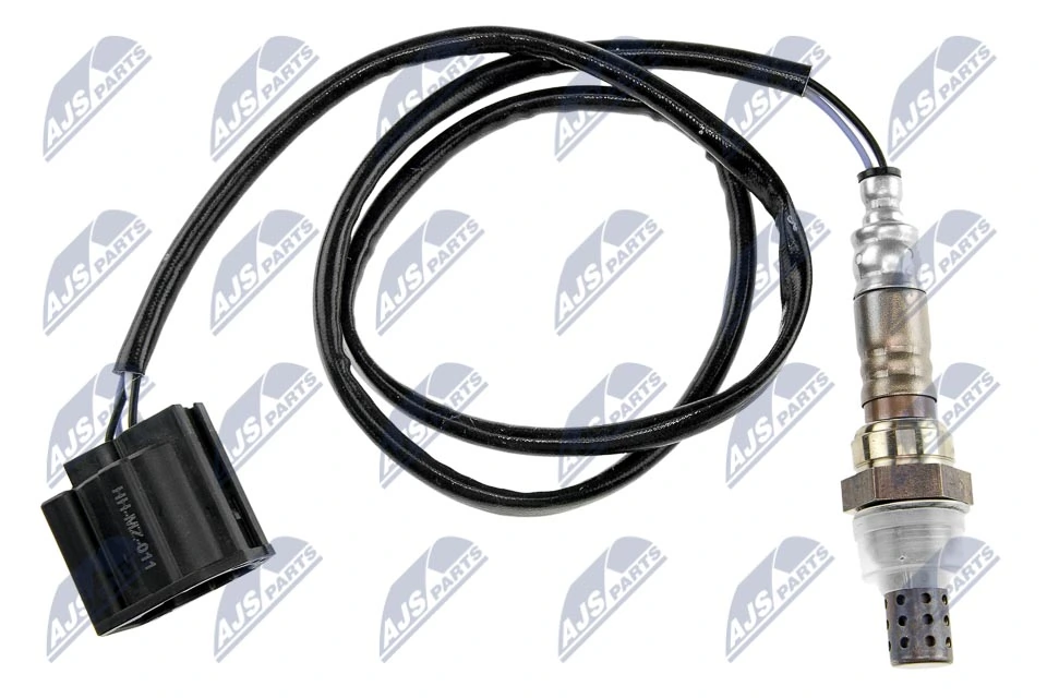 NTY ESLMZ011