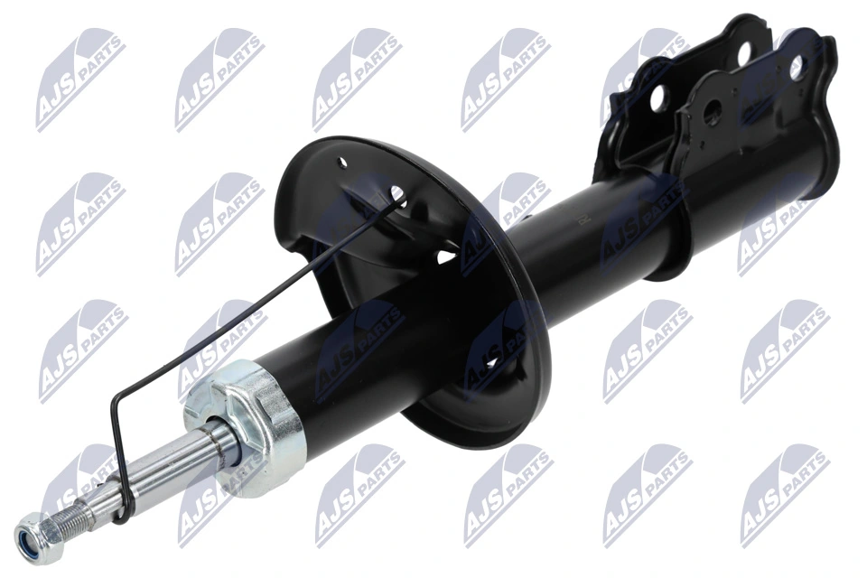 RAISO RS317599