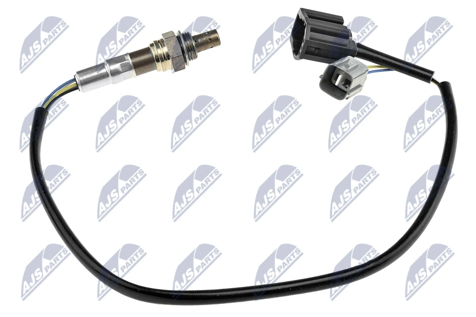 NTY ESLMZ004
