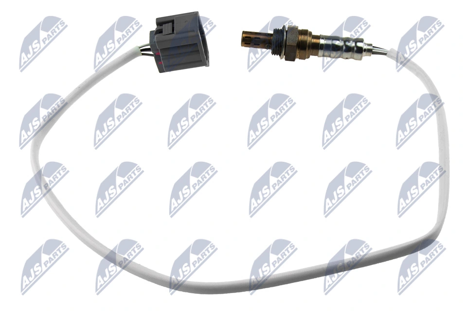 NTY ESLMZ018