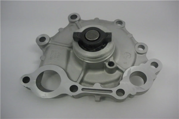 Toyota 1610079165