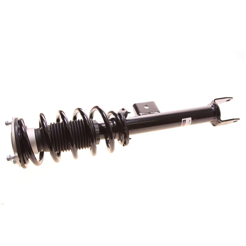 RAISO RS436901